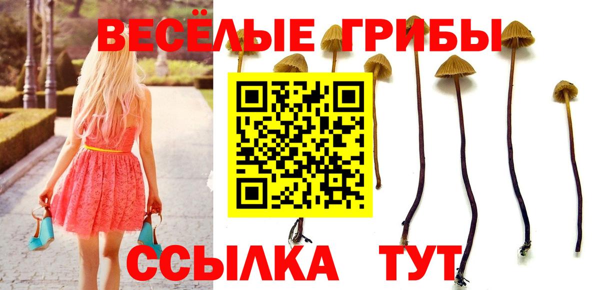Гулькевичи  Галлюциногенные грибы Magic Shrooms  Вход с VPN 