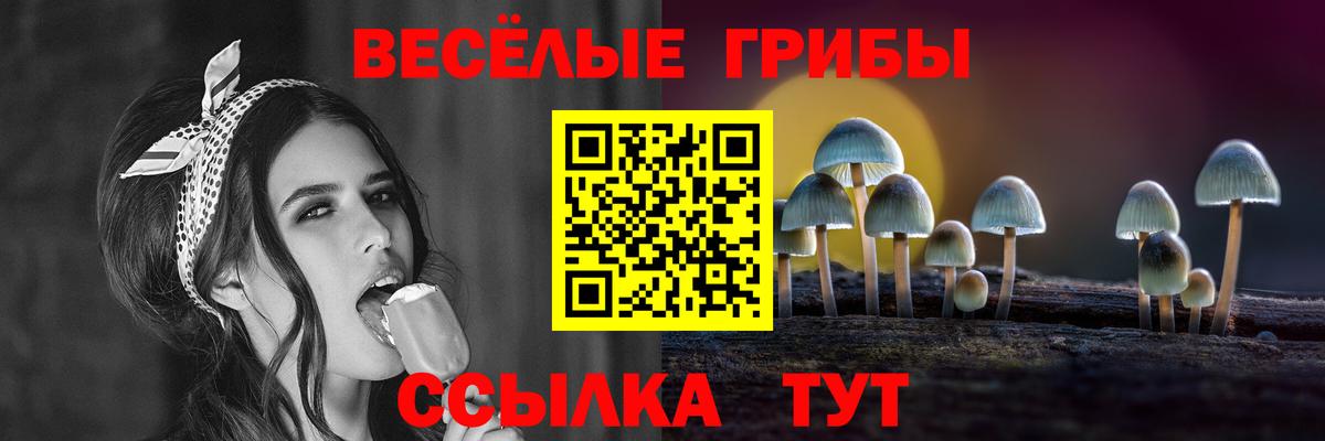Галлюциногенные грибы MAGIC MUSHROOMS Гулькевичи
